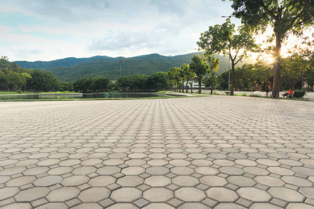 Best Residential Paver Driveway  in Shamrock, TX